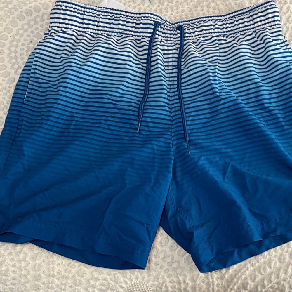 George Blue Ombre Striped Swim Trunks